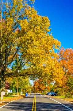 Colors of the fall Stock Photos