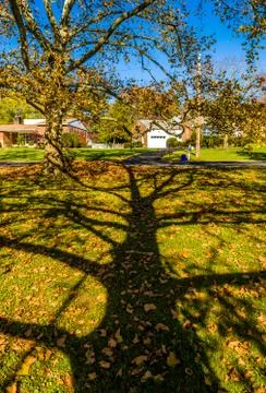 Colors of the fall Stock Photos