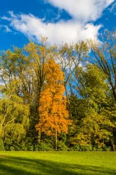 Colors of the fall Stock Photos
