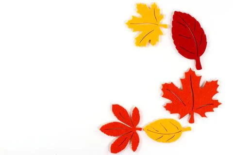 Colors of the fall Stock Photos