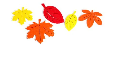 Colors of the fall Stock Photos