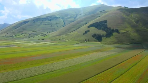 Colors fields made by wild flowers and the Italian peninsula Stock Footage 201152259