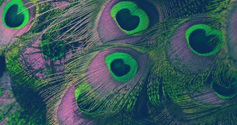 Colors. Stock Footage 276659099