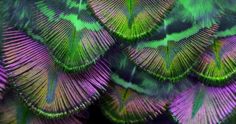Colors. Stock Footage 277207380