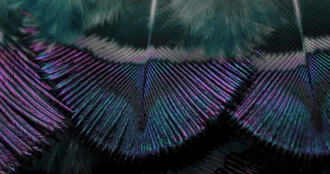 Colors. Stock Footage 277321163