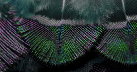 Colors. Stock Footage 277321186
