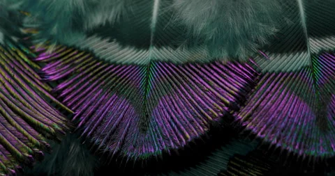 Colors. Stock Footage 277321767
