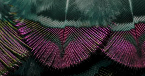 Colors. Stock Footage 277321772