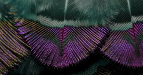 Colors. Stock Footage 277321809