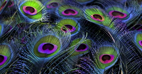 Colors. Stock Footage 277438054