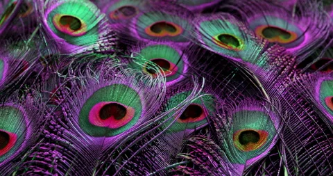 Colors. Stock Footage 277438061