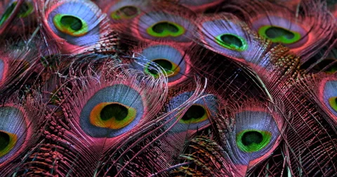 Colors. Video stock 277438071