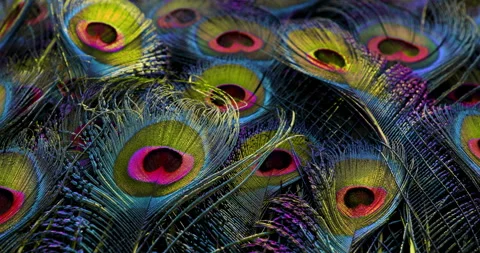Colors. Stock Footage 277438490