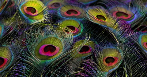 Colors. Video stock 277438612