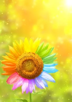 Colors Stock Illustration