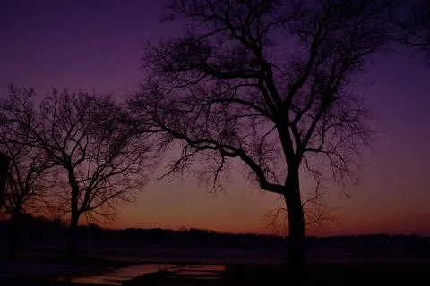 Colors of night Stock Photos