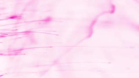 Colors particles falling in water. Potassium permanganate crystals in the water. Stock Footage 150558959