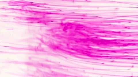 Colors particles falling in water. Potassium permanganate crystals in the water. Stock-Footage 150558975