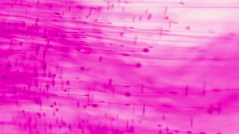 Colors particles falling in water. Potassium permanganate crystals in the water. Vídeos de archivo 150558977