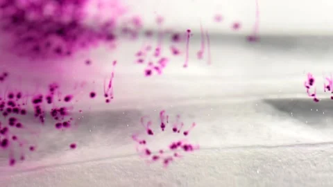Colors particles falling in water. Potassium permanganate crystals in the water. Stock-Footage 150558984
