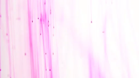 Colors particles falling in water. Potassium permanganate crystals in the water. 스톡 동영상 150600979