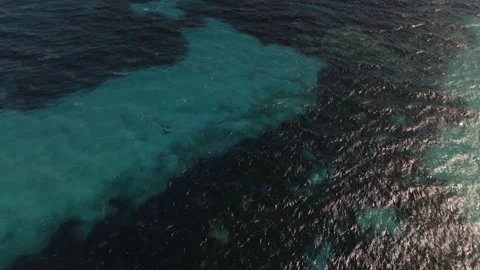 Colors of sea Stock Footage 236419744