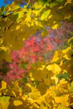 Colors of spring Stock Photos