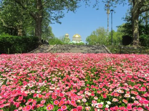 The colors of spring Sofia. In the distance - Cathedral Alexander Nevsky. Stock Photos