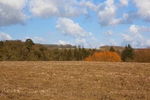 Colors of springtime Stock Photos