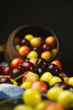 Colors of summer Stock Photos