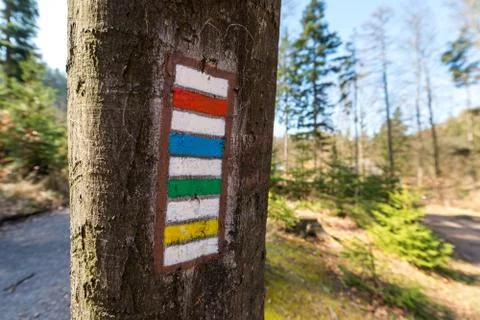 Colors of trails Stock Photos