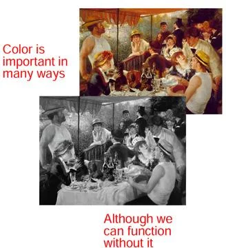 Color's Vital Role in Visual Perception: Contrasting Full-Color and Graysca.. Stock Photos