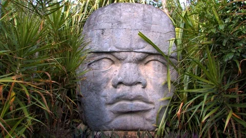 Colossal Cabeza Video stock 94136701