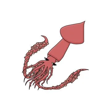 Colossal squid in the ocean. Vector cartoon hand drawn illustration of the Stock Illustration