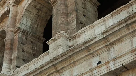 Colosseum 38 Vidéo 336008939