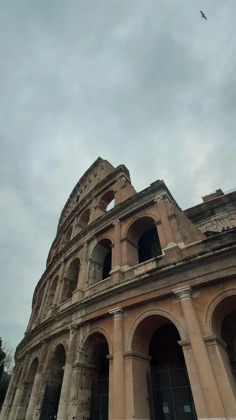 Colosseum 5 Vídeos de archivo 336007824