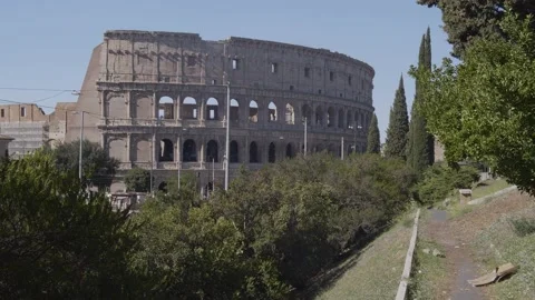 Colosseum from behind the tree Video stock 163043412