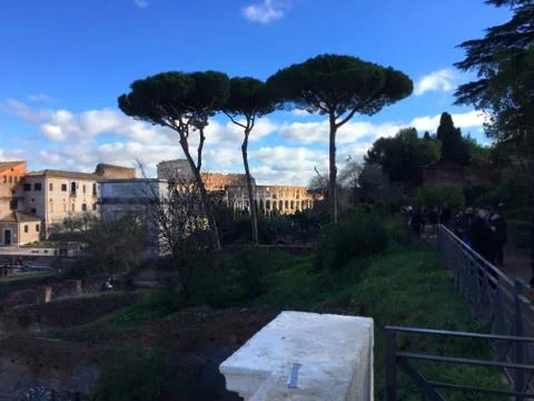 Colosseum Stock Photos