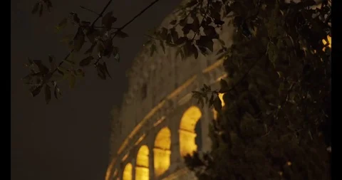 Colosseum Rack focus trees Night2 Stock Footage 117452168
