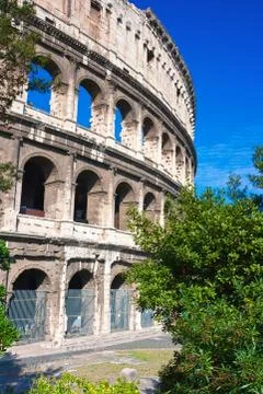 Colosseum in Rome Stock Photos