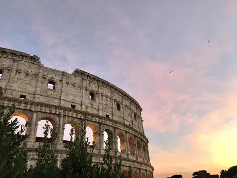 Colosseum with sunset background and purple sky Stock Photos