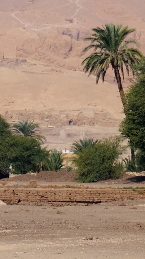 Colossi of Memnon massive stone statues of Pharaoh Amenhotep III in Luxor Egypt Stock Footage 337501151