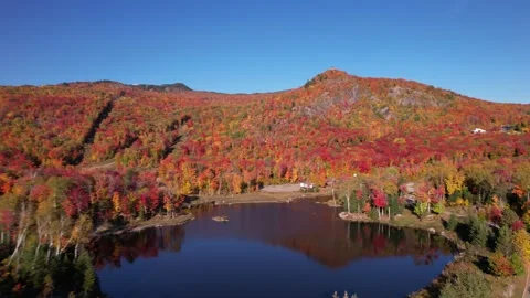 Colour of autumn/ canada 库存影片 250897560