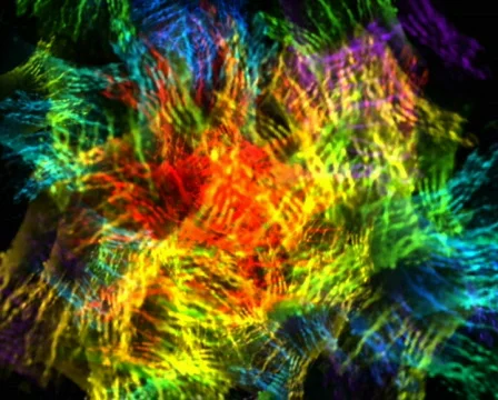 Colour Flakes Loopable Background Stock Footage 316281