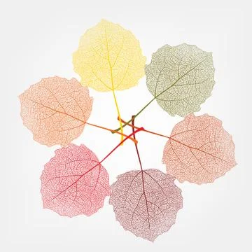 Colour leaves on a white background Stock Illustration