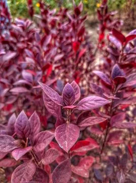 Colour of nature Stockfoto's