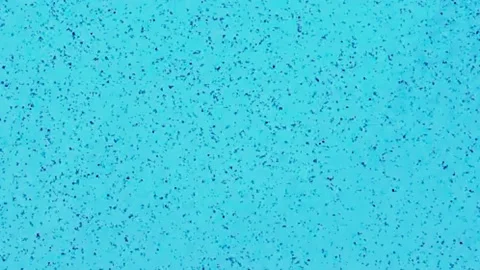 Colour neon gradient. Moving abstract blurred background Vidéo 159919495