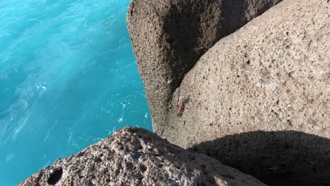 Colour of the ocean Stock Footage 208091380