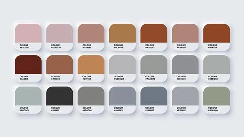 Colour Palette Catalog Samples Brown and Grey in RGB HEX. Neomorphism Vector Stock-Illustration