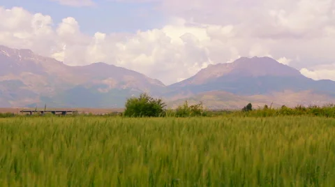Colour view nature, Turkey Stock Footage 63830325